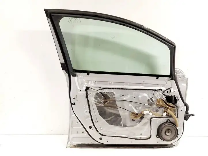 Nissan Leaf I (ZE0) (2010 - 2017) Дверь — фото 3