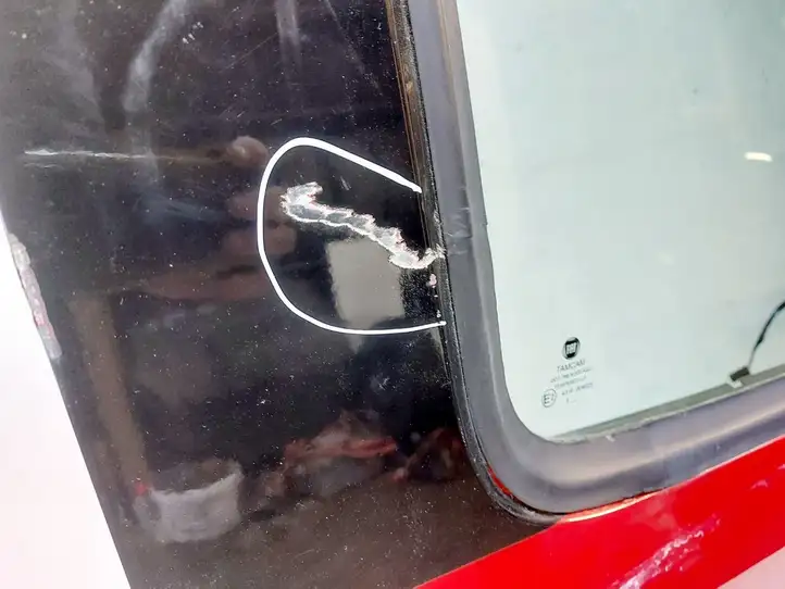 Fiat Doblo (2009 - 2015) Дверь — фото 2