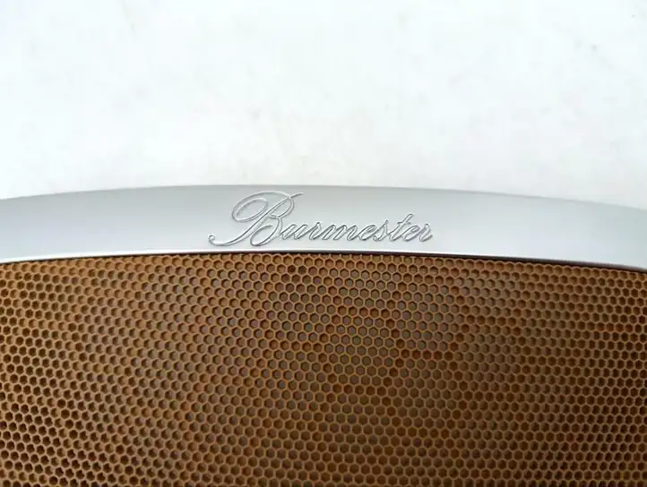 Porsche Panamera (970) (2009 - 2013) 97055555101 Накладка бокового динамика — фото 2