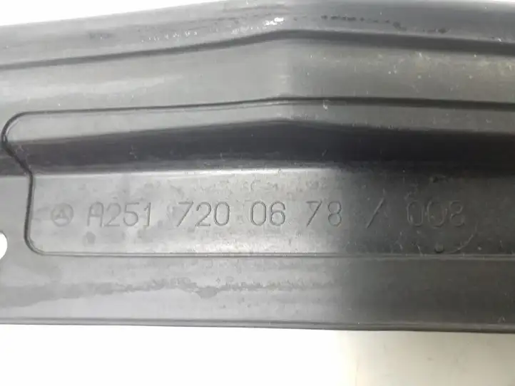 Mercedes-Benz R W251 (2005 - 2013) A2517200678 Прочая отделка передней двери — фото 3