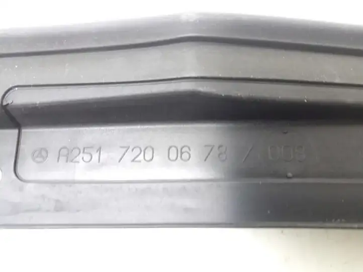 Mercedes-Benz R W251 (2005 - 2013) A2517200678 Прочая отделка передней двери — фото 3