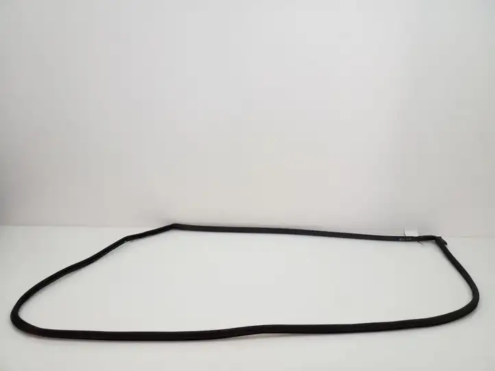 Toyota Corolla Verso AR10 (2004 - 2009) 678610F010 Уплотнитель передней двери — фото 1