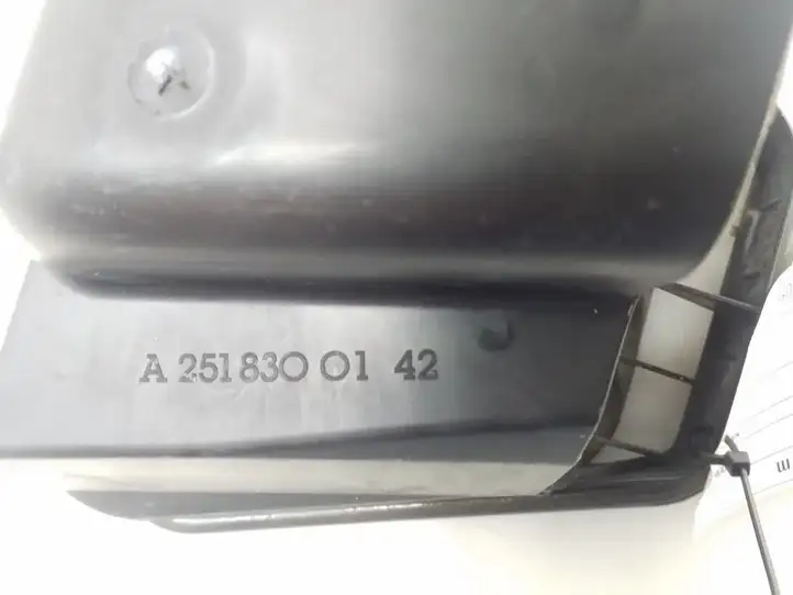 Mercedes-Benz R W251 (2005 - 2013) A2518300142 Решетка в крыле — фото 3
