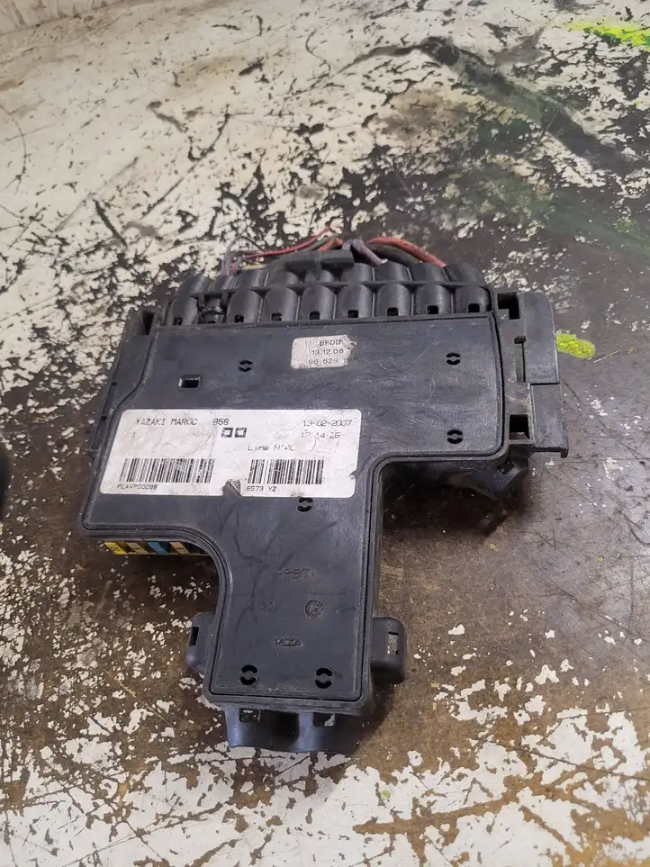 Citroen C4 I Picasso (2006 - 2013) 9662914480 Клеммный узел плюсовых проводов — фото 2