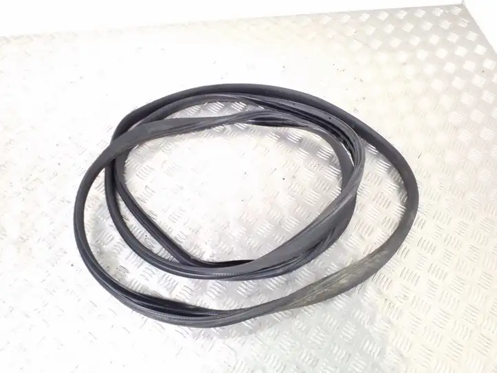 Ford B-MAX (2012 - 2018) Уплотнитель стекла — фото 1