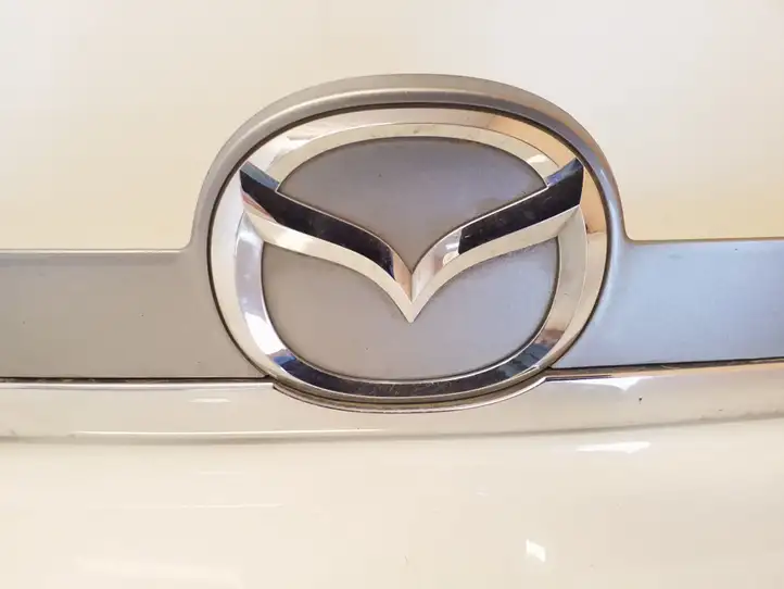 Mazda CX-7 (2006 - 2009) K3006 Подсветка номера — фото 2