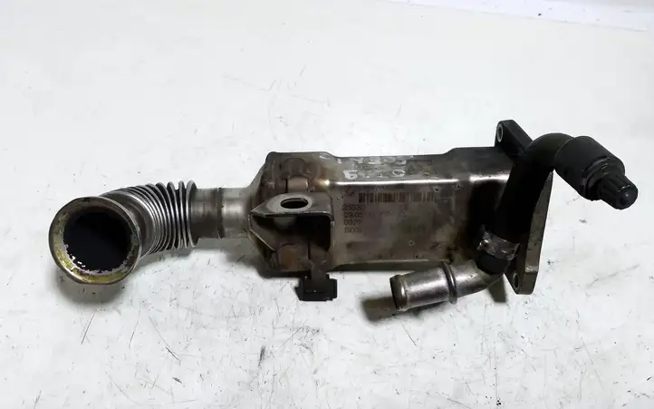 Chevrolet Captiva (2006 - 2011) 8200171191 Охладитель клапана EGR — фото 2