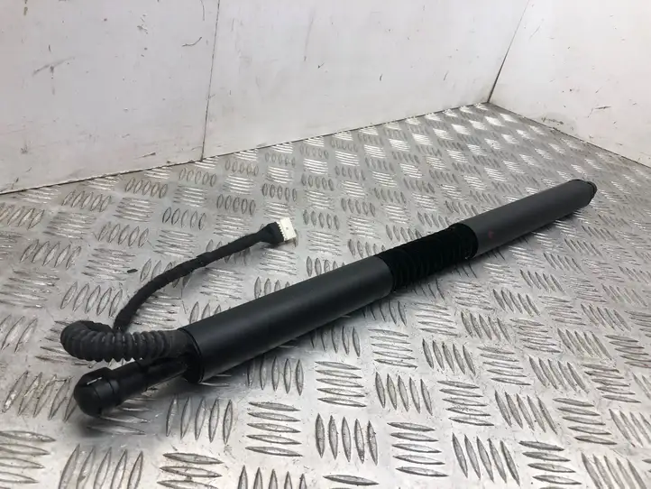 BMW 3 F30 F35 F31 (2012 - 2018) 967043104 Гидравлика крышки багажника — фото 11
