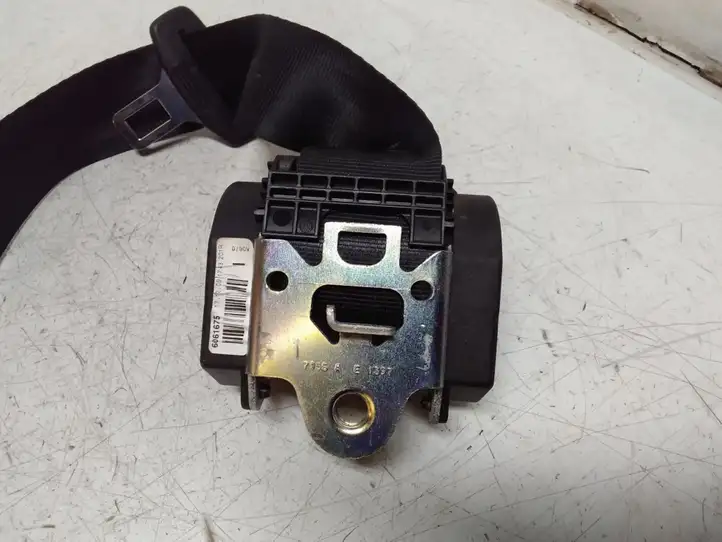 Seat Leon (1P) (2005 - 2012) 1P0857805C Задний ремень безопасности — фото 4