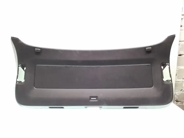 Volkswagen Tiguan (2007 - 2011) 5N0867601A Основной отделочный щит — фото 1