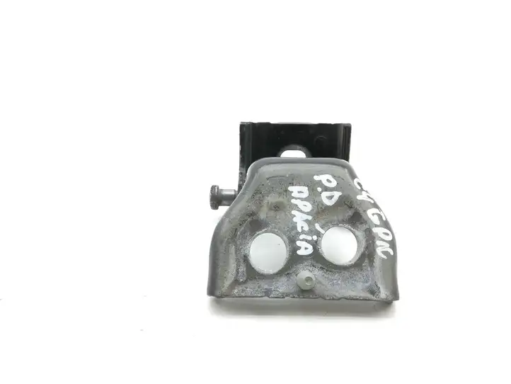 Citroen C4 I Picasso (2006 - 2013) Нижняя петля передней двери — фото 1