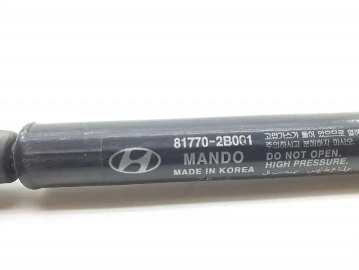 Hyundai Santa Fe (2005 - 2009) 817702B001 Амортизатор крышки багажника — фото 4