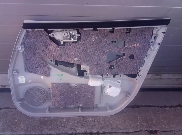 Nissan Leaf I (ZE0) (2010 - 2017) Обшивка передней двери — фото 3
