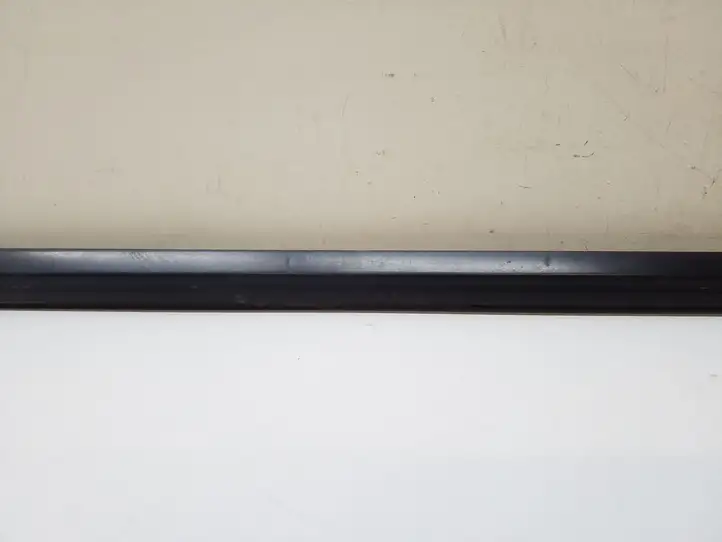 Dodge Grand Caravan (2007 - 2020) OEM Молдинги раздвижных дверей — фото 3
