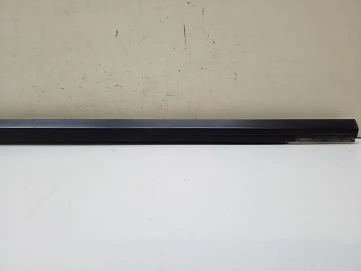 Dodge Grand Caravan (2007 - 2020) OEM Молдинги раздвижных дверей — фото 4