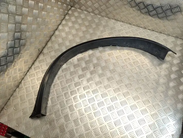 BMW X5 E70 (2006 - 2013) 8036651 Задняя колесная арка — фото 1