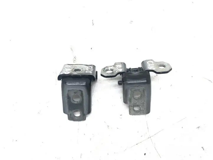 Renault Clio IV (2012 - 2019) 804200003RK Петли передней двери (комплект) — фото 3