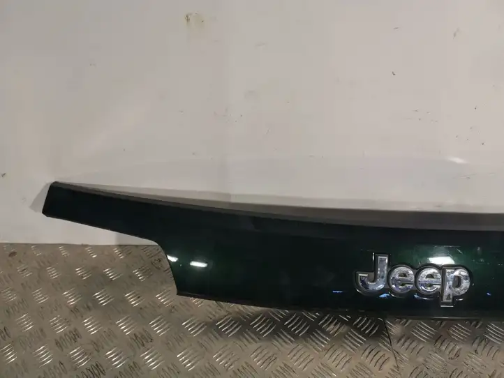 Jeep Grand Cherokee (2010 - 2021) Подсветка номера — фото 3
