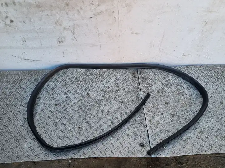 Ford Focus (2005 - 2008)  B249 Уплотнительная резина передней двери (на дверях)
