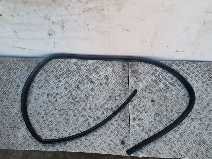 Ford Focus (2005 - 2008)  B249 Уплотнительная резина передней двери (на дверях)