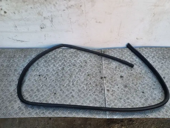 Ford Focus (2005 - 2008)  B249 Уплотнительная резина передней двери (на дверях)