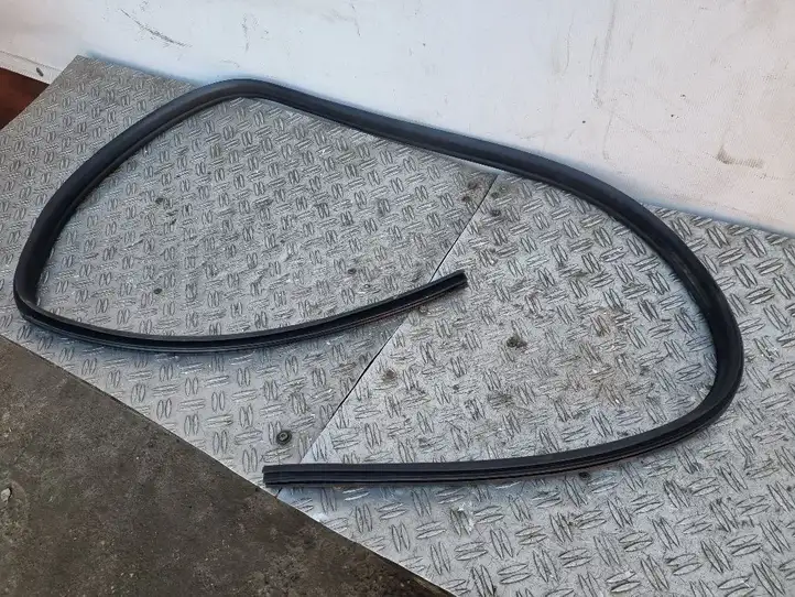 Ford Focus (2005 - 2008)  B249 Уплотнительная резина передней двери (на дверях)