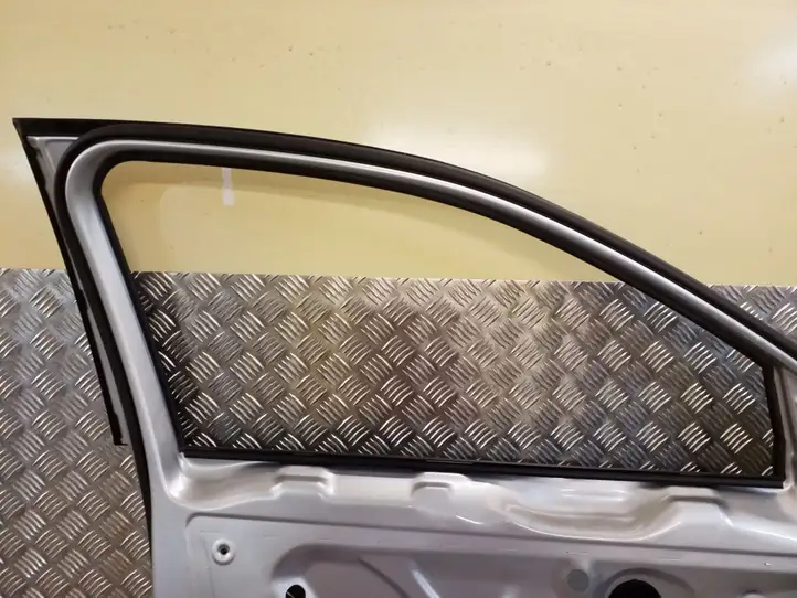 Volkswagen Golf V (2003 - 2009) Дверь — фото 3