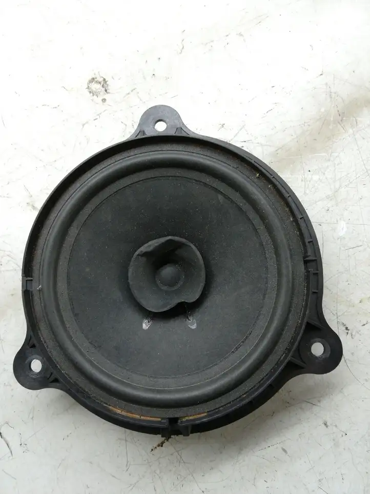 Nissan Qashqai (2010 - 2013) Динамики передних дверей — фото 1