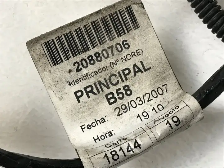 Citroen C4 I Picasso (2006 - 2013) 20880706 Прочая электропроводка — фото 4