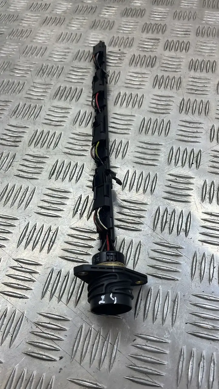Audi A3/S3 8P (2004 - 2008) 038971803 Проводка топливных форсунок — фото 2