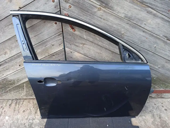 Opel Insignia A (2008 - 2017) Дверь — фото 1
