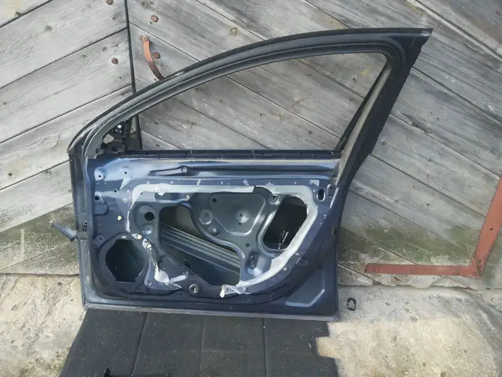 Opel Insignia A (2008 - 2017) Дверь — фото 2