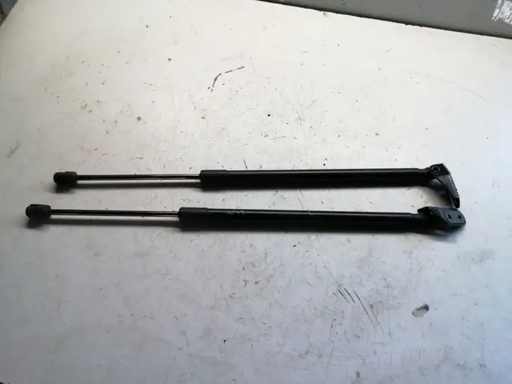 Toyota Corolla Verso AR10 (2004 - 2009) 689600F012 Амортизатор крышки багажника — фото 1