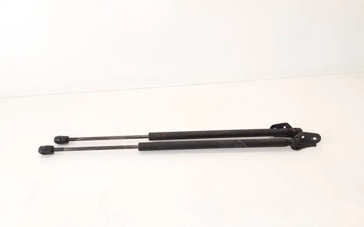 Toyota Corolla Verso AR10 (2004 - 2009) 689500F011 Амортизатор крышки багажника — фото 1