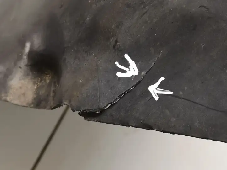 Volkswagen Transporter-Caravelle (2003 - 2009)  7H0809961A Подкрылок