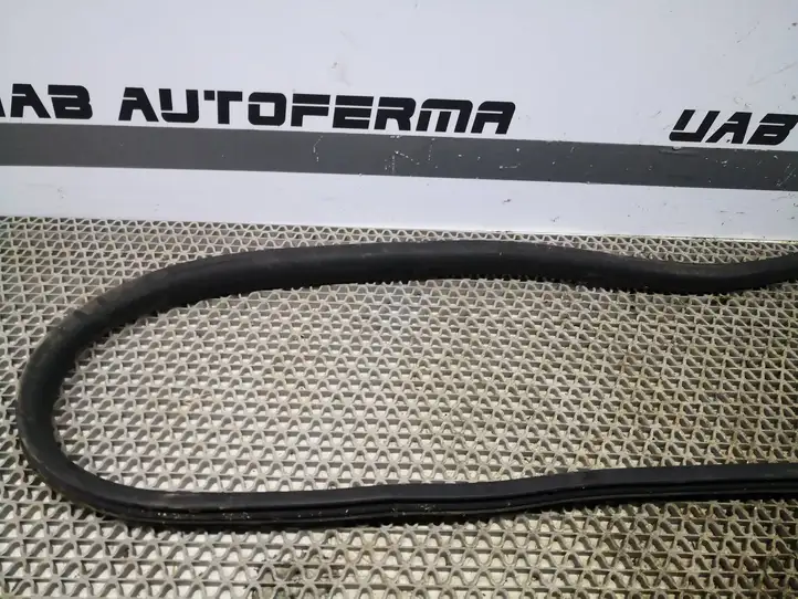 Renault Clio IV (2012 - 2019) Уплотнитель кузова — фото 3