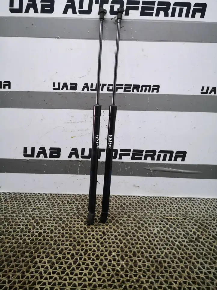 Nissan Qashqai (2013 - 2017) 904504EA0A Амортизатор крышки багажника — фото 3