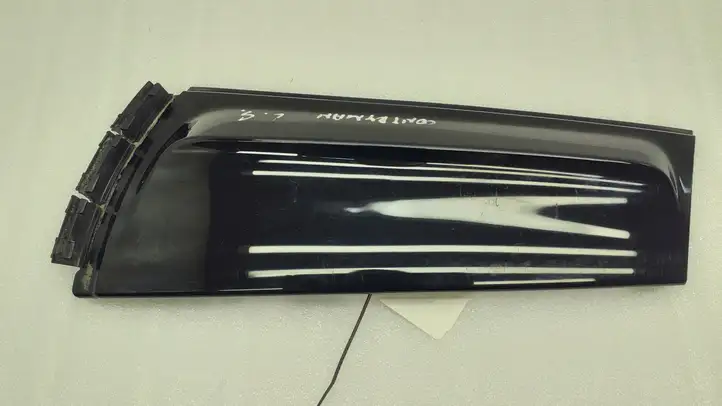 Mini Cooper Countryman R60 (2010 - 2016) 9801547 Молдинги задней двери — фото 2