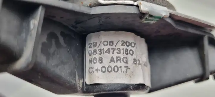 Citroen Xsara Picasso (1999 - 2012) 9631473180 Механический стеклоподъемник задней двери — фото 2