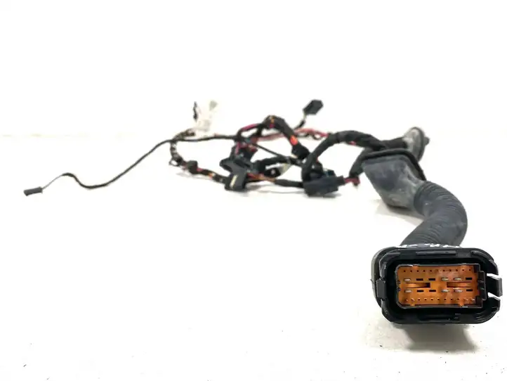 Mercedes-Benz R W251 (2005 - 2013) 2592305 Проводка передней двери — фото 3