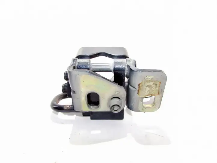 Volkswagen Golf VI (2009 - 2013) Петли задней двери (комплект) — фото 3