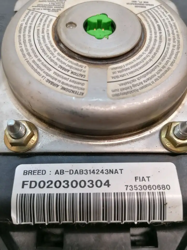 Fiat Ducato (2002 - 2006) 7353060680 Подушка безопасности руля — фото 3