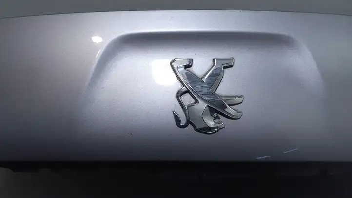 Peugeot RCZ (2010 - 2013) Крышка багажника — фото 7