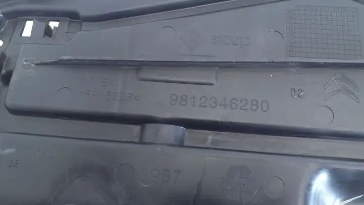 Citroen C3 (2016 - ) 9812346280 Дефлектор воздуха — фото 2