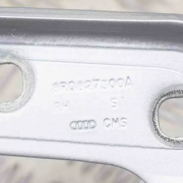 Audi Q5 SQ5 (2012 - 2017) 8R0827300A Петли крышки багажника — фото 6