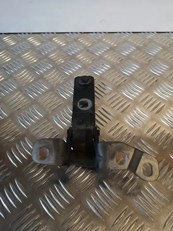 BMW X5 E70 (2006 - 2013) 714962715 Петли крышки багажника — фото 1