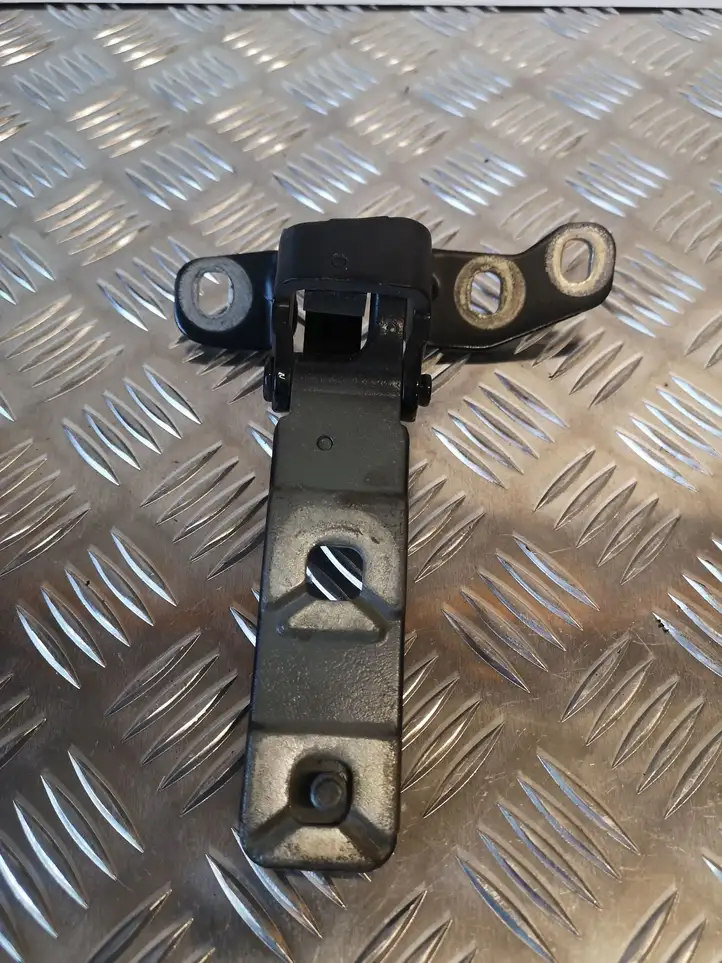 BMW X5 E70 (2006 - 2013) 714962715 Петли крышки багажника — фото 3