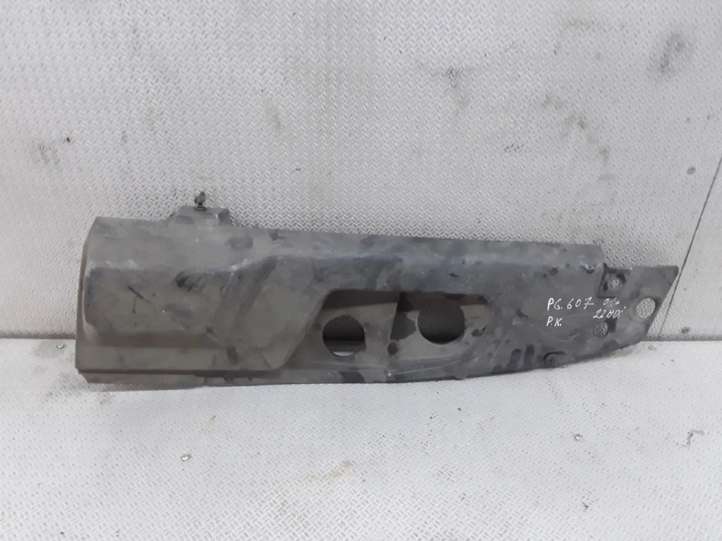 9636712877 Peugeot 607 Variklio dangtis (apdaila)