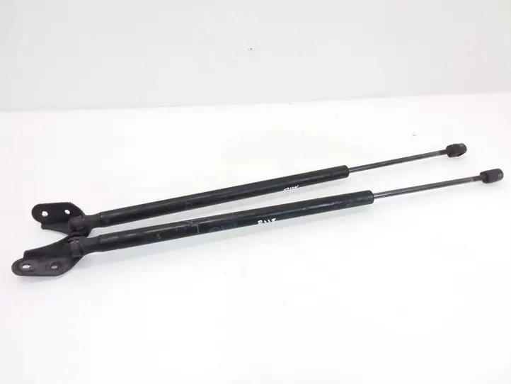 Toyota Corolla Verso AR10 (2004 - 2009) 689600F011 Амортизатор крышки багажника — фото 1
