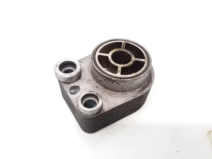 Nissan Qashqai (2006 - 2010) 8200267937F Кронштейн масляного фильтра — фото 2